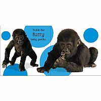 Touch and Feel Baby Animals