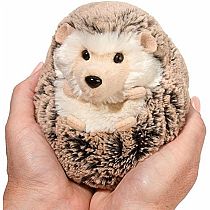 Spunky Hedgehog