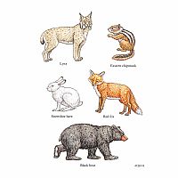 DOVER WOODLAND ANIMALS STICKERS
