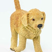 SAFARI GOLDEN RETRIVIER PUPPY