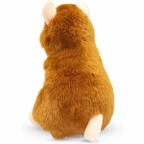 Brushy Hamster