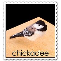 WOOLPETS CHICKADEE
