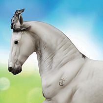 BREYER JAGUEL HILTON