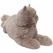 JULIETTE PERSIAN CAT