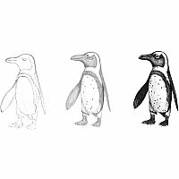Do Art Drawing & Sketching