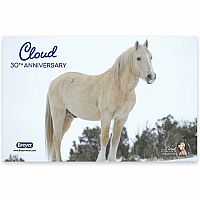 BREYER CLOUD 30TH ANNIVERSARY