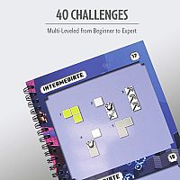 Minecraft Magnetic Travel Puzzle