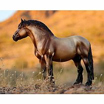 BREYER THEO ARDENNES