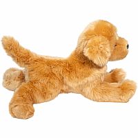 Bella Golden Retriever