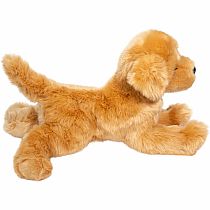 Bella Golden Retriever