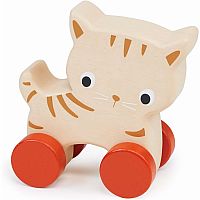 KITTEN ON WHEELS