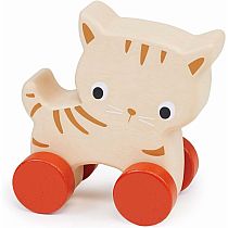 KITTEN ON WHEELS