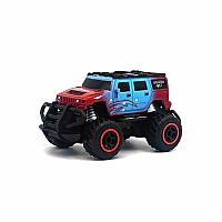 ALL CITY ORLANDO MINIS RC
