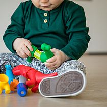 SMARTMAX® My First Dinosaurs