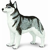 SAFARI SIBERIAN HUSKY