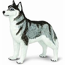 SAFARI SIBERIAN HUSKY