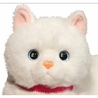 ALBA WHITE CAT DLUXE