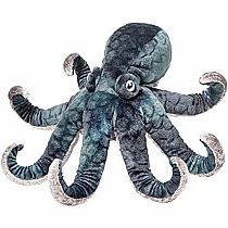 Winky Octopus