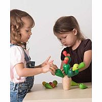 PLAN BALANCING CACTUS