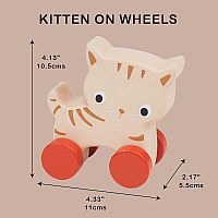 KITTEN ON WHEELS