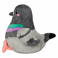 SQUBL PIGEON