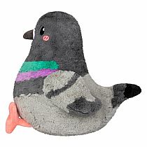 SQUBL PIGEON