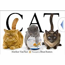 CAT  --MATTHEW VAN FLEET BRIAN STANTON