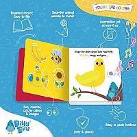 DITTY BIRD SOUND-TOUCH  COLORS