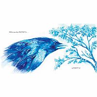 THE WHITE RAVEN  - Kathryn Otoshi