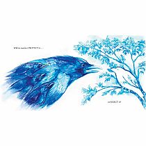 THE WHITE RAVEN  - Kathryn Otoshi