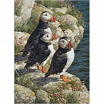 FISHERMANS WHARF 500PC PUZ