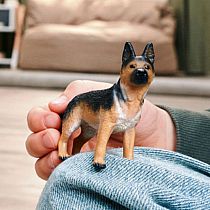 German Shepherd Male