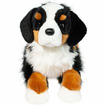 TROOPER BERNESE MOUNTAIN DOG