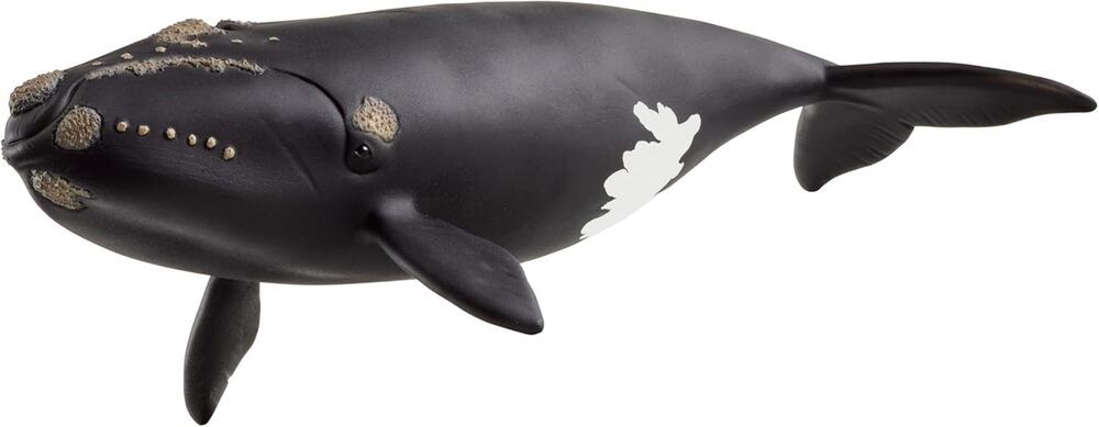 SCHLEICH RIGHT WHALE