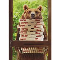 Bear with Pizzas Birthday CARD
