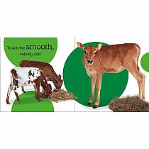 Touch and Feel Baby Animals