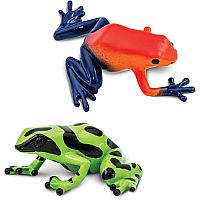 POISON DART FROGS TOOB