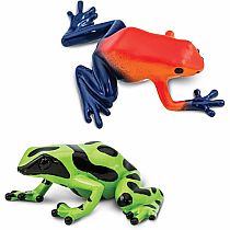 POISON DART FROGS TOOB
