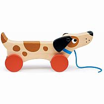 PUPPY ON WHEELS