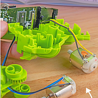 ROBOTIC PET CODING CHAMELEON