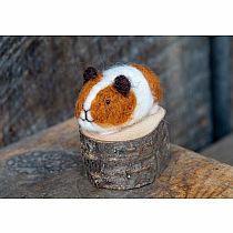 WOOLPETS GUINEA PIGS