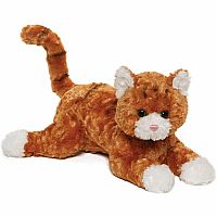 SIENNA ORANGE TABBY