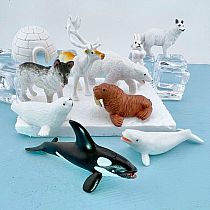 Arctic Toob