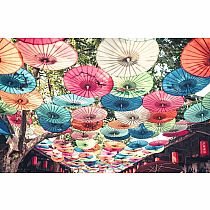 UMBRELLAS 200 PC PZ