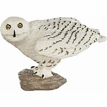 SAFARI SNOWY OWL