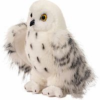 Wizard Snowy Owl