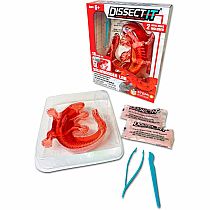 DISSECT-IT SALAMANDER LAB