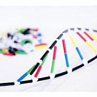 DNA SCIENCE WIZ