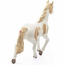 Paint Horse Mare