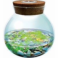 WATERPLANTS